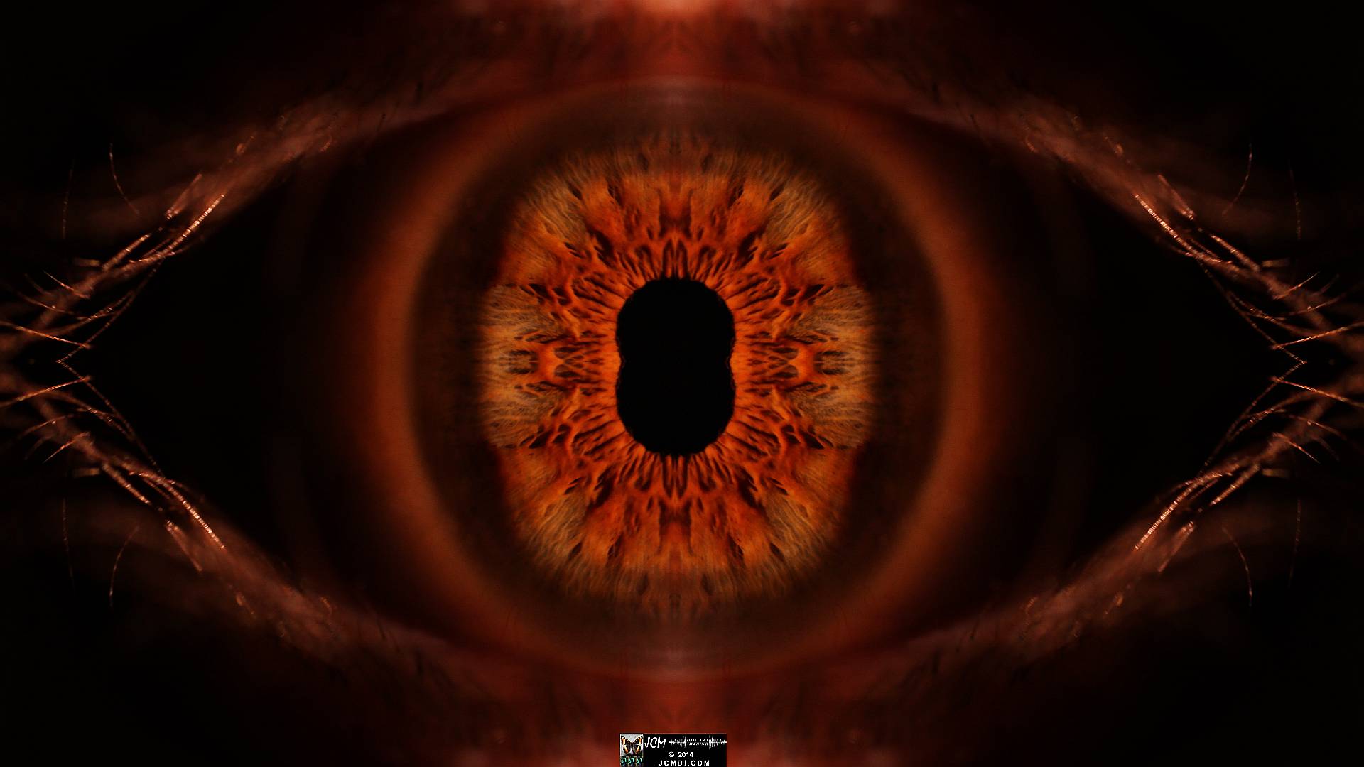 Quadroscopic Artwork made from an image of a real human eye